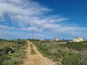 Stavros Kreta, Stavros: Riesiges Grundstück in Strandnähe zu verkaufen Grundstück kaufen